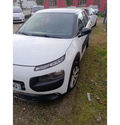 Porte avant gauche CITROEN C4 CACTUS Photo n°9