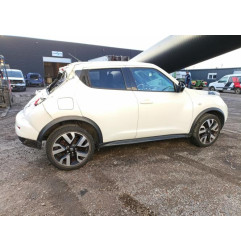 Porte arriere gauche NISSAN JUKE 1 Photo n°14