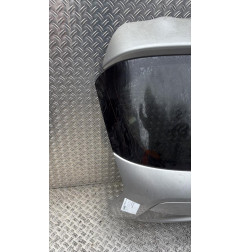 Malle/Hayon arriere NISSAN JUKE 1