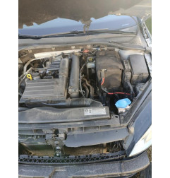 Panneau de porte avant gauche VOLKSWAGEN GOLF 7 Photo n°4