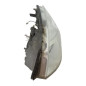 Optique avant principal gauche (feux)(phare) RENAULT SCENIC 2