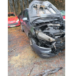 Panneau de porte avant droit HYUNDAI TUCSON 2 Photo n°5