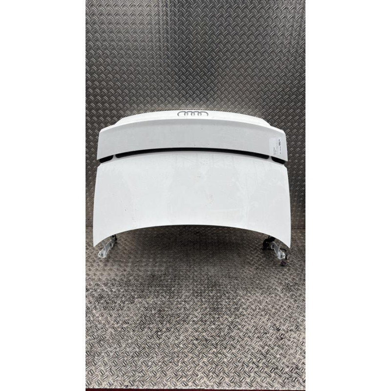 Malle/Hayon arriere AUDI TT 3