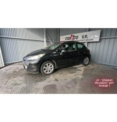 Aile avant gauche PEUGEOT 207 Photo n°4