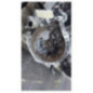 Boite de vitesses CITROEN C4 2