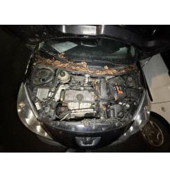 Anti brouillard droit (feux) PEUGEOT 206+ Photo n°10