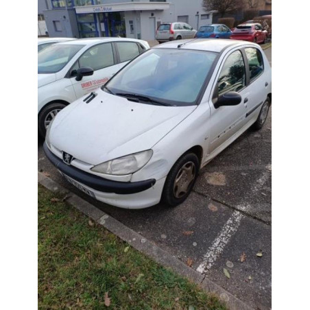 Porte avant gauche PEUGEOT 206 Photo n°1