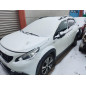 Porte arriere droit PEUGEOT 2008 1