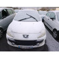 Malle/Hayon arriere PEUGEOT 307