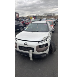 Malle/Hayon arriere CITROEN C4 CACTUS Photo n°11