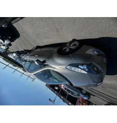 Baguette de porte avant gauche RENAULT GRAND SCENIC 3 Photo n°6