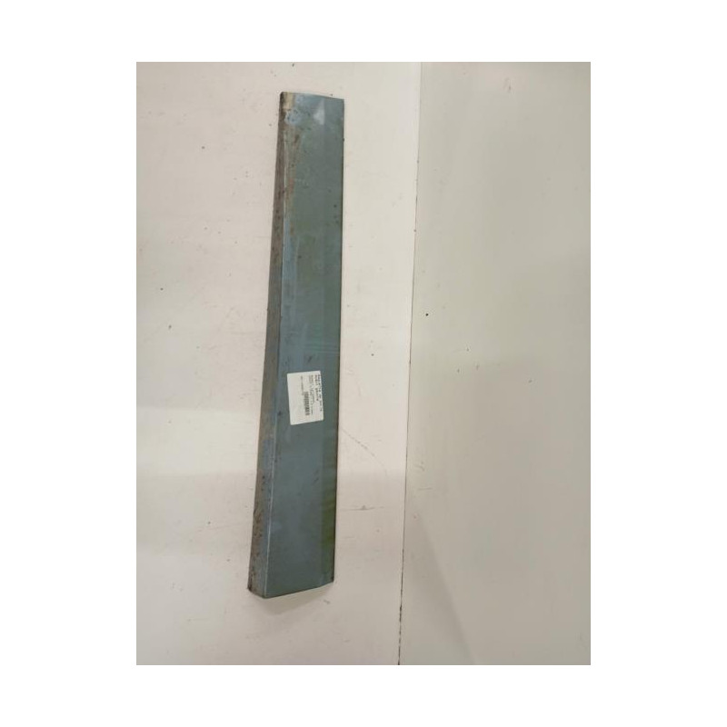 Baguette de porte avant gauche RENAULT SCENIC 3