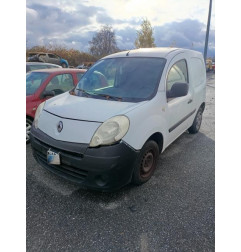 Baguette de porte avant droite RENAULT KANGOO 2 Photo n°3