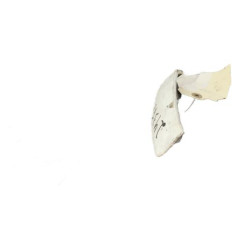 Bouton de coffre OPEL CORSA D