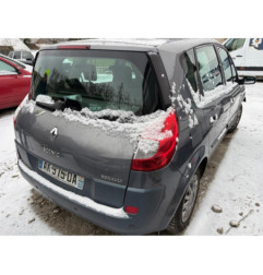 Baguette de porte arriere gauche RENAULT SCENIC 2