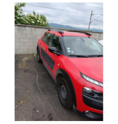 Porte arriere droit CITROEN C4 CACTUS Photo n°11