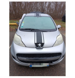 Malle/Hayon arriere PEUGEOT 107 Photo n°3