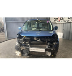 Porte de coffre droit RENAULT KANGOO 2 Photo n°6