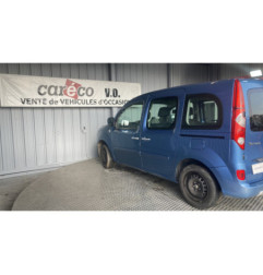 Porte laterale gauche RENAULT KANGOO 2 Photo n°11