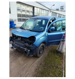 Panneau de porte avant gauche RENAULT KANGOO 2