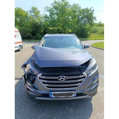 Pare choc arriere HYUNDAI TUCSON 2 Photo n°1