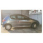 Mastervac PEUGEOT 206
