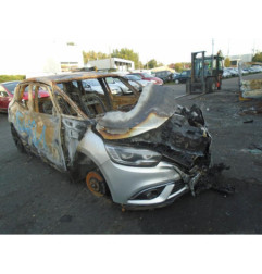 Porte avant gauche RENAULT SCENIC 4 Photo n°6
