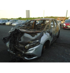 Porte avant gauche RENAULT SCENIC 4 Photo n°8