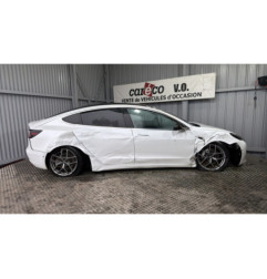 Porte arriere gauche TESLA MODEL 3 5YJ3 Photo n°3