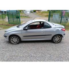 Vitre arriere droit PEUGEOT 206