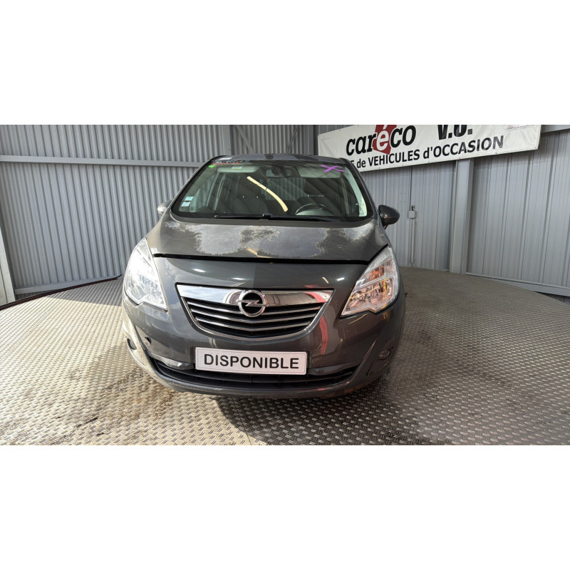 Porte arriere gauche OPEL MERIVA B
