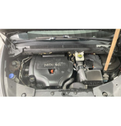 Porte arriere gauche CITROEN DS5