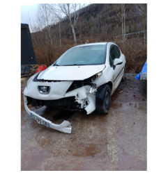 Feu arriere principal gauche (feux) PEUGEOT 207 Photo n°1