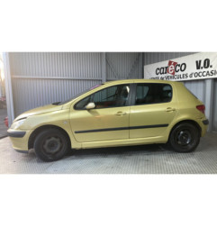 Panneau de porte avant gauche PEUGEOT 307