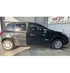 Panneau de porte arriere gauche RENAULT CLIO 3 Photo n°9