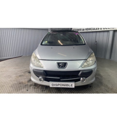 Porte arriere gauche PEUGEOT 307 Photo n°1