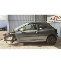 Porte avant gauche PEUGEOT 207