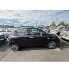 Porte arriere gauche LANCIA YPSILON 5 Photo n°8