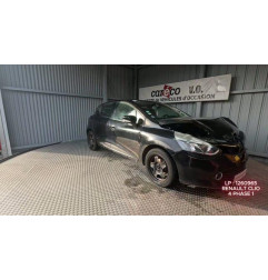 Porte arriere gauche RENAULT CLIO 4 Photo n°1