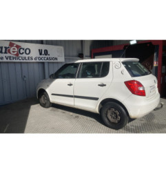 Porte avant gauche SKODA FABIA 2 Photo n°12