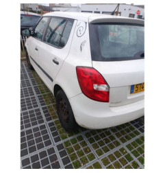 Panneau de porte arriere gauche SKODA FABIA 2 Photo n°1