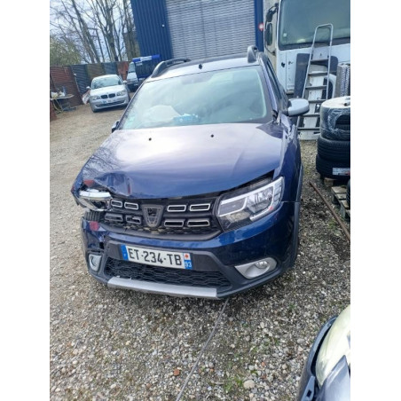 Panneau de porte arriere droit DACIA SANDERO 2