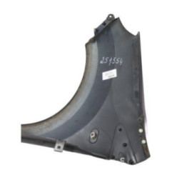 Aile avant droit RENAULT TWINGO 2