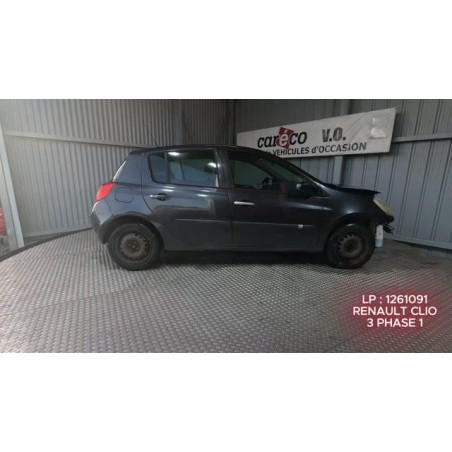 Panneau de porte arriere gauche RENAULT CLIO 3