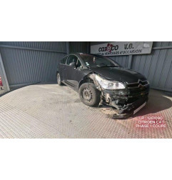 Panneau de porte avant gauche CITROEN C4 1 Photo n°10