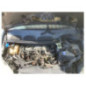 Cardan droit (transmission) FORD C-MAX 1