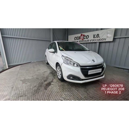 Mastervac PEUGEOT 208 1