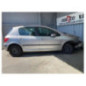 Mastervac PEUGEOT 307