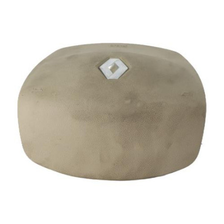 Air bag conducteur RENAULT SCENIC 3 Photo n°1