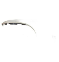 Aile avant droit RENAULT SCENIC 3